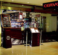 Cervo - Southport Accommodation