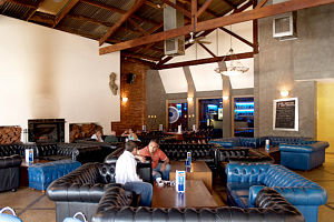 Mosskito - Accommodation Southport 0