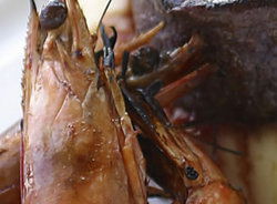 Nicks Bar And Grill - Accommodation Southport 2