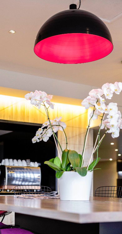 MRepublic Restaurant, Bar And Lounge - Southport Accommodation 4