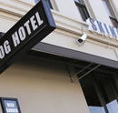 Skinny Dog Hotel - Southport Accommodation