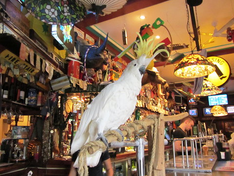 A Friend In Hand - Southport Accommodation 0