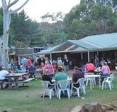 Bush Shack Brewery - Accommodation Southport