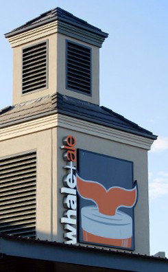 The Whale & Ale - Accommodation Southport 1