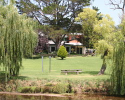Bendemeer Hotel - Southport Accommodation 3