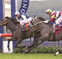 Gosford Race Club - Southport Accommodation