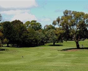 Cooma Golf Club - Southport Accommodation 1
