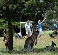 Glen Innes Golf Club - Southport Accommodation