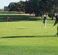Waikerie Golf Club - Southport Accommodation