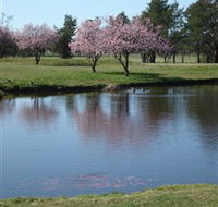 RMC Golf Club - Southport Accommodation