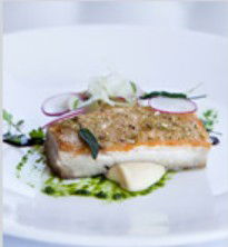 PJ's Irish Sports Bar & Bistro @ The Criterion Hotel - Southport Accommodation 0