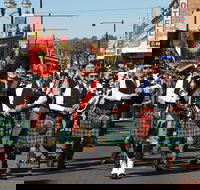 Australian Celtic Festival - Southport Accommodation