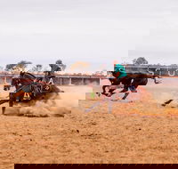 Birdsville Campdraft  Rodeo and Bronco Branding - Southport Accommodation