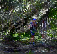 Elephant Trail Race - Southport Accommodation