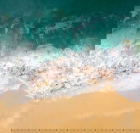 Endeavour Voyage The Untold Stories of Cook and the First Australians - Accommodation Southport