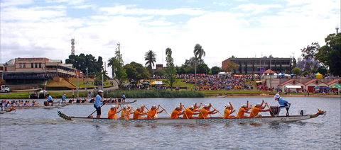 Jacaranda Dragon Boat Races - Accommodation Southport 0