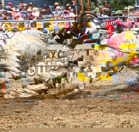 Jindabyne's Man From Snowy River Rodeo - Southport Accommodation