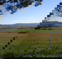 Milton Village Showground Markets - Accommodation Southport