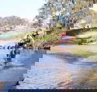 Mountain Man Tri Challenge - Southport Accommodation