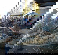 Narrabri Show - Southport Accommodation