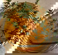 Online live streaming class DIY Skincare Products - Accommodation Southport