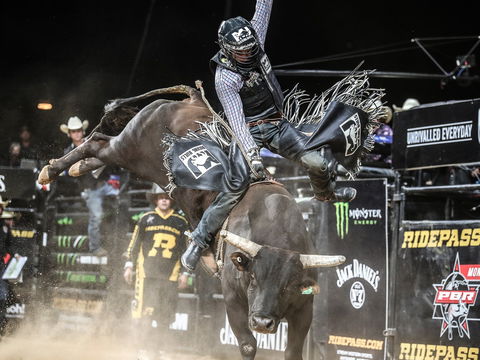 PBR Hawkesbury Stampede - Southport Accommodation 0