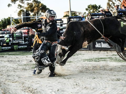 PBR Hawkesbury Stampede - Southport Accommodation 2