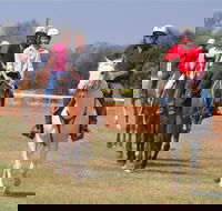Pride of the West Races 2020 - Southport Accommodation