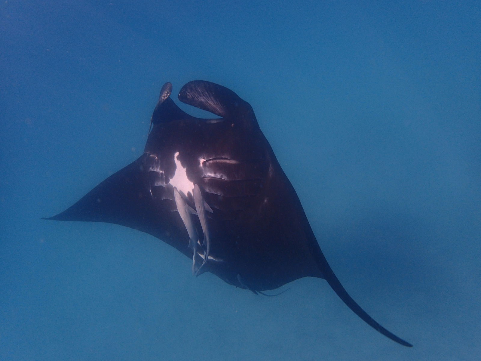 East Carnarvon WA Southport Accommodation