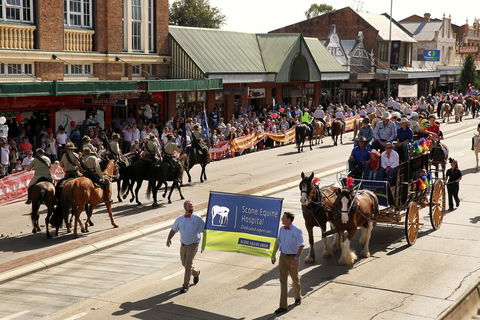 Scone Horse Festival - Southport Accommodation 0