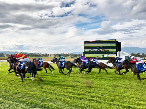 Scone Horse Festival - Southport Accommodation 2