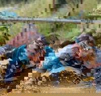 Suck It Up Buttercup Vikings Obstacle Course - Accommodation Southport