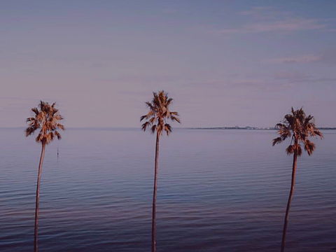 Sunset Streaming Live DJ Streams - Southport Accommodation 0