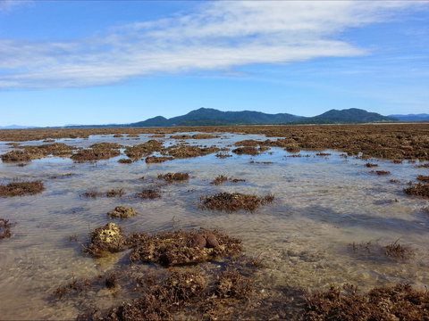 Walk To The Reef - Southport Accommodation 0