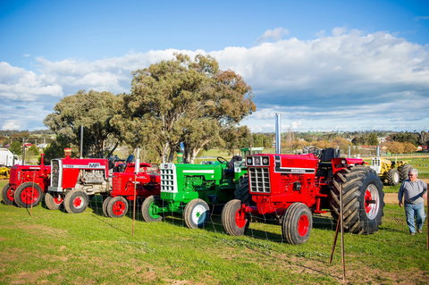 144th Annual Grenfell Show - Accommodation Southport 1