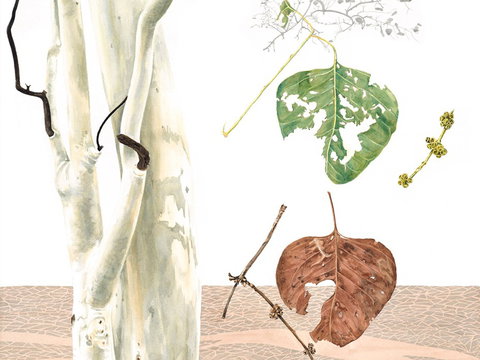 Artistic Endeavour - Accommodation Southport 0