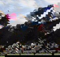 Batemans Bay Cup - Southport Accommodation