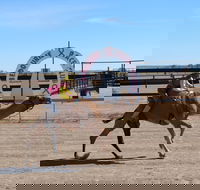 Bedourie Camel and Pig Races and Camp oven Cook-off - Southport Accommodation