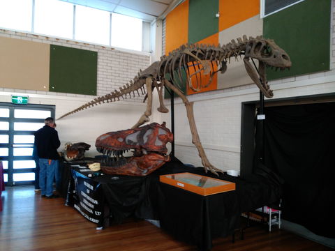 Carlingford Gem And Mineral Expo - Southport Accommodation 1
