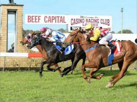 Casino Cup - Southport Accommodation 0