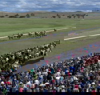 Cooma Sundowners Cup - Southport Accommodation