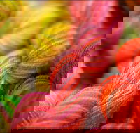 Creative Fibre - Accommodation Southport