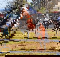 Glen Innes Pastoral and Agricultural Show - Southport Accommodation