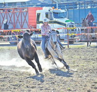 Gresford  Campdraft and Rodeo - Southport Accommodation