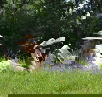 High Country Writers Festival - Southport Accommodation