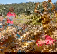 Mini Muddies Obstacle Challenge at Bunnamagoo Estate - Accommodation Southport