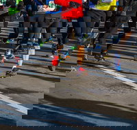 Moruya Town to Surf Fun Run - Southport Accommodation