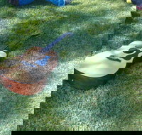 Rosewood Country Round Up Music Festival - Southport Accommodation