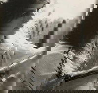 Shimmering The Mona Hessing Tribute Project - Southport Accommodation