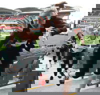 Stadium Stomp Adelaide Oval - Postponed - Southport Accommodation